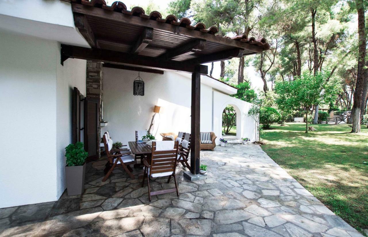Villa Irini In Sani Sani  Buitenkant foto