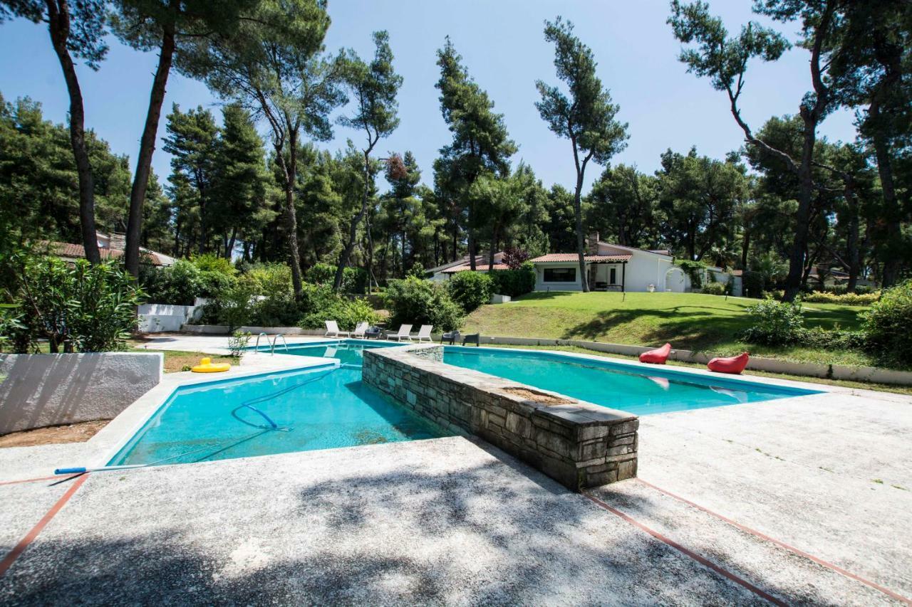 Villa Irini In Sani Sani  Buitenkant foto